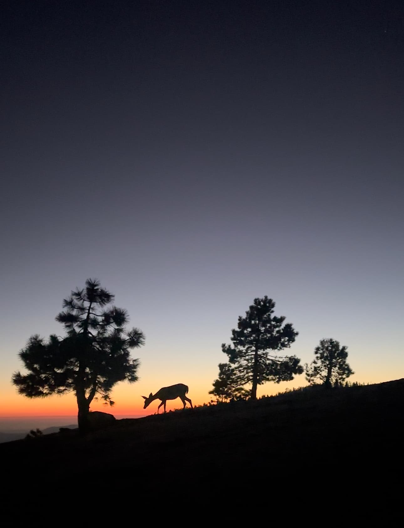 Adventure photography by Pedro Britos